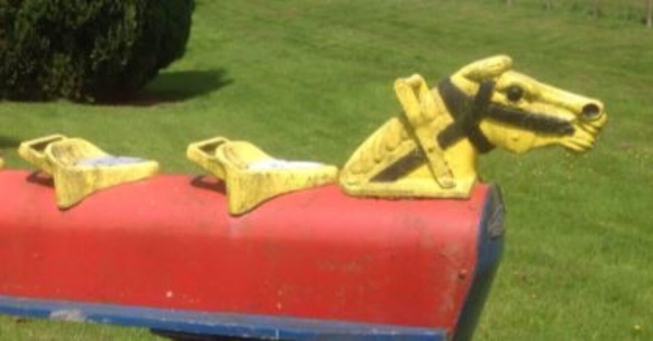 Playground horse